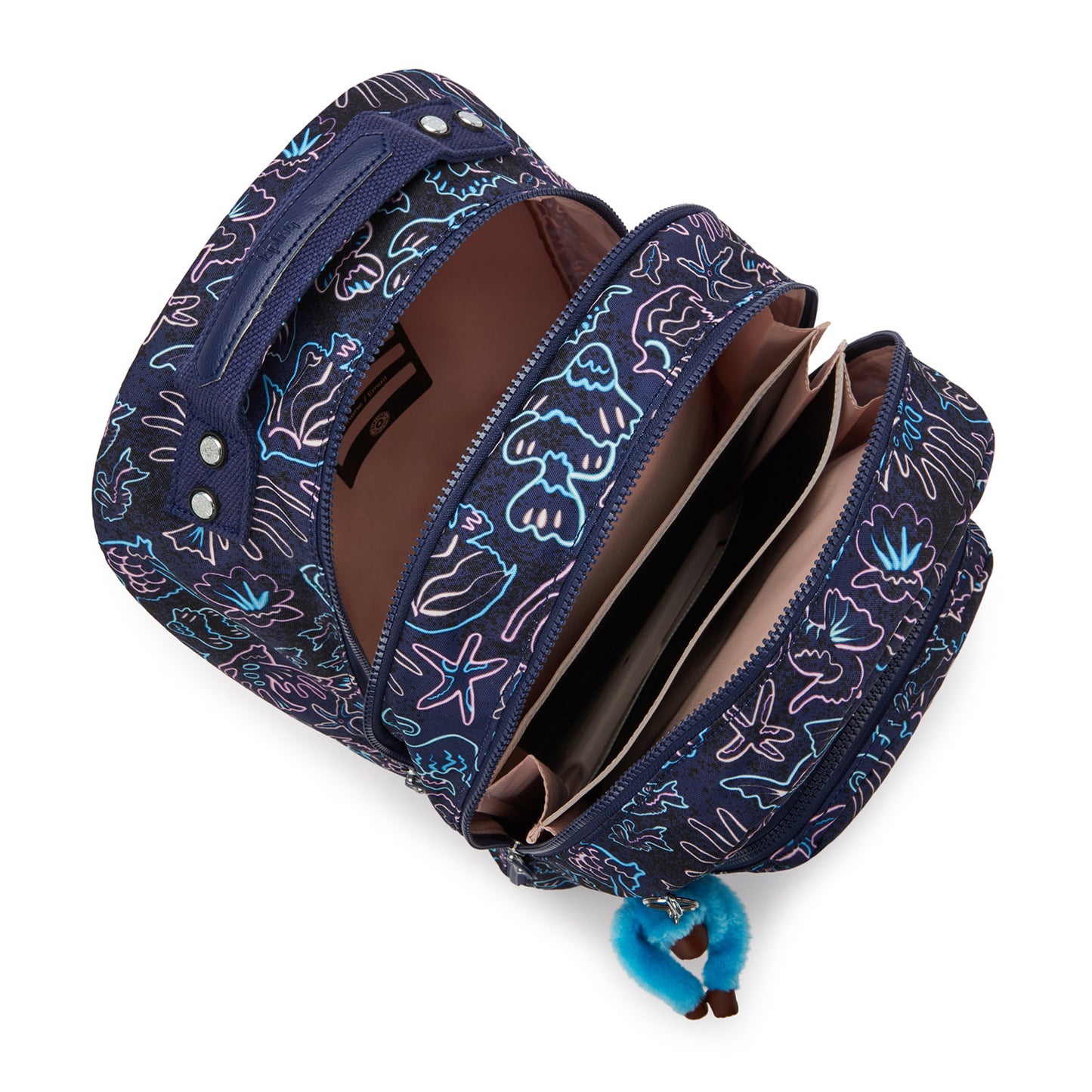 Kipling Class Room disco fish