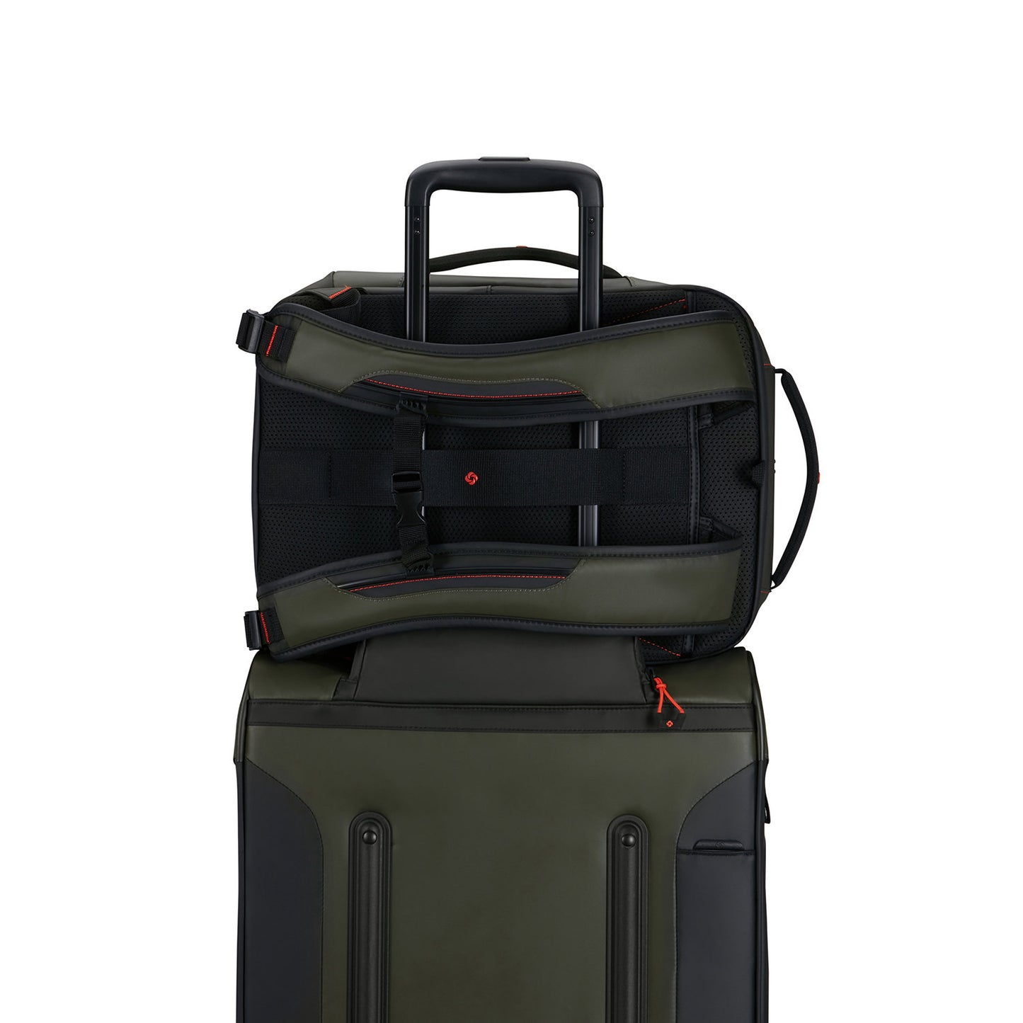 Samsonite Ecodiver Laptop Backpack S Underseater climbing ivy