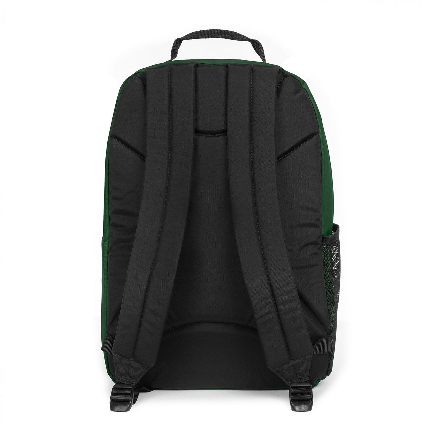 Eastpak Study Buddy bristle green