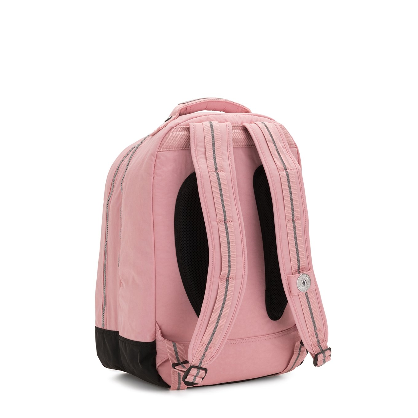 Kipling Class Room bridal rose