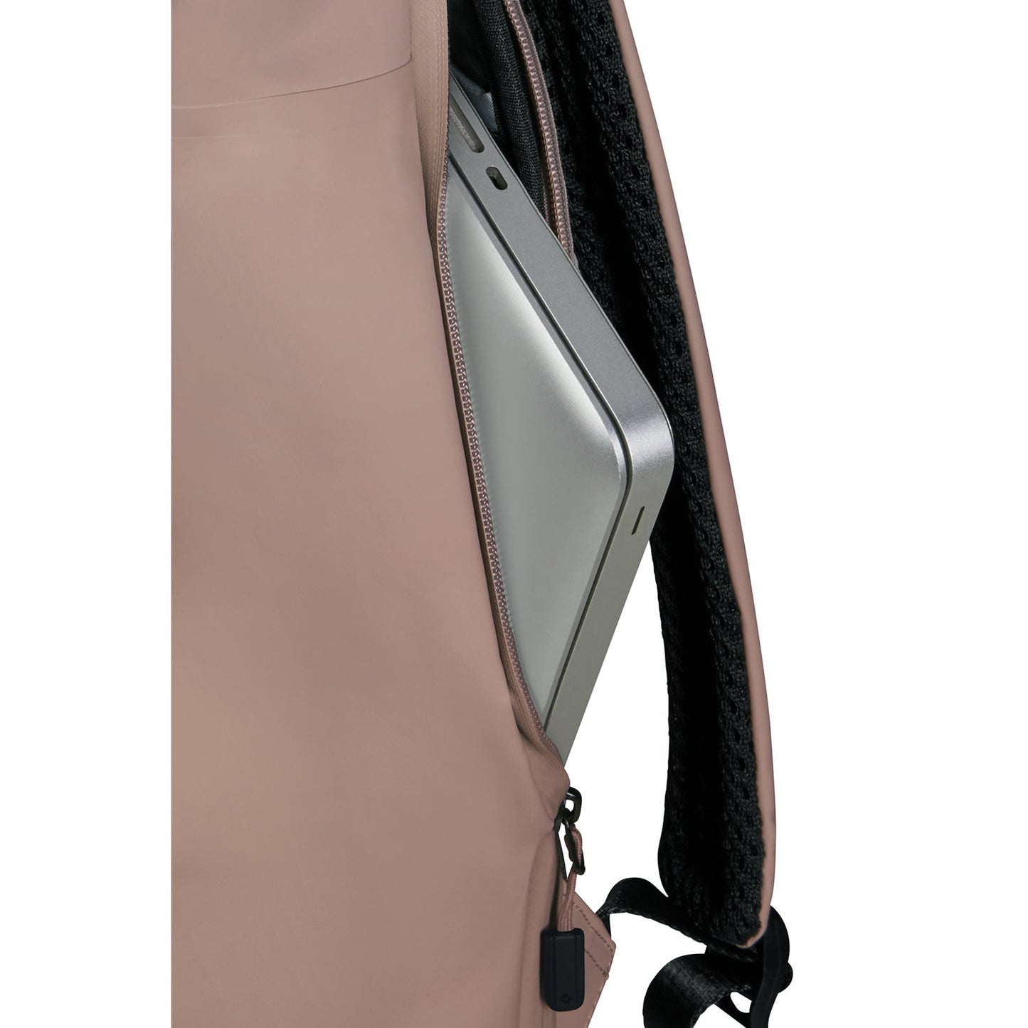 Samsonite Coatify Biz Rolltop Backpack 15.6" rose