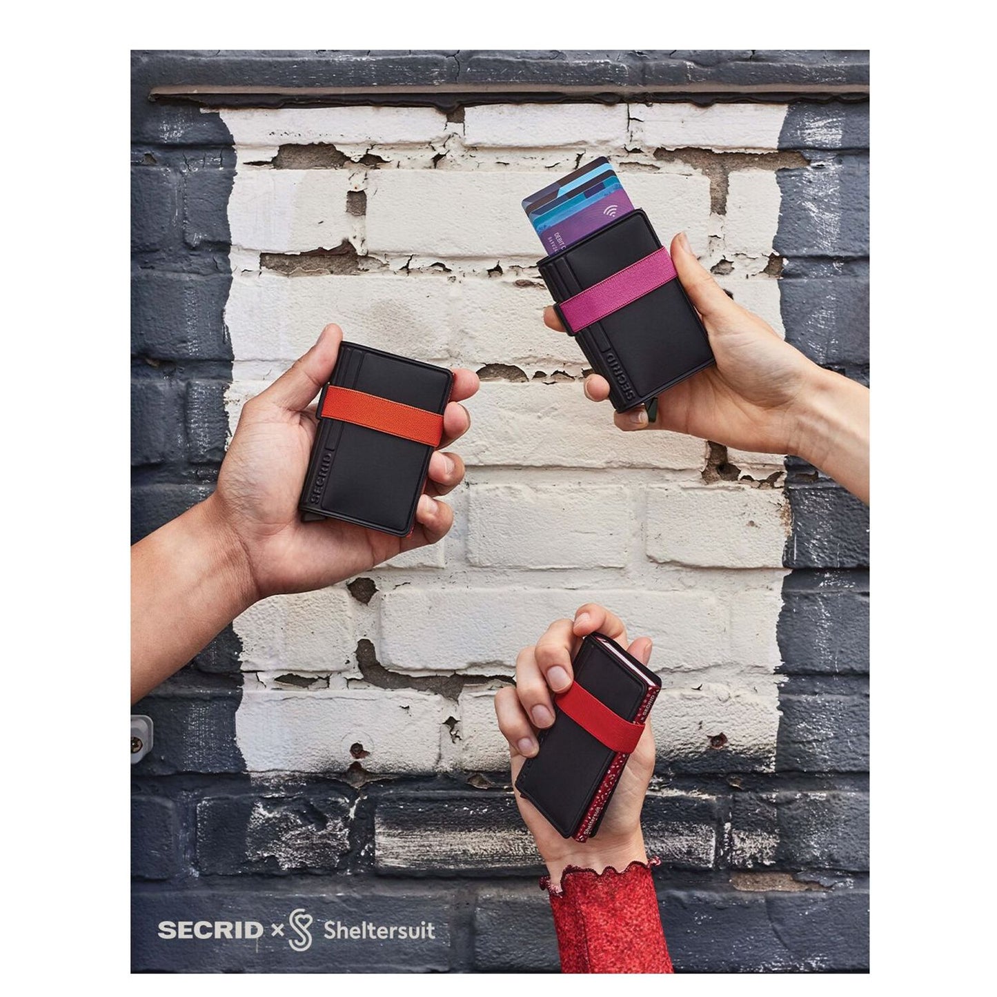 Secrid x Sheltersuit Bandwallet TPU black-fuchsia