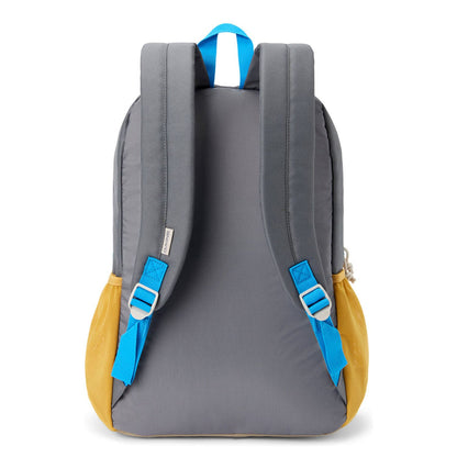 Dakine Tardy Slip Backpack 25L playground