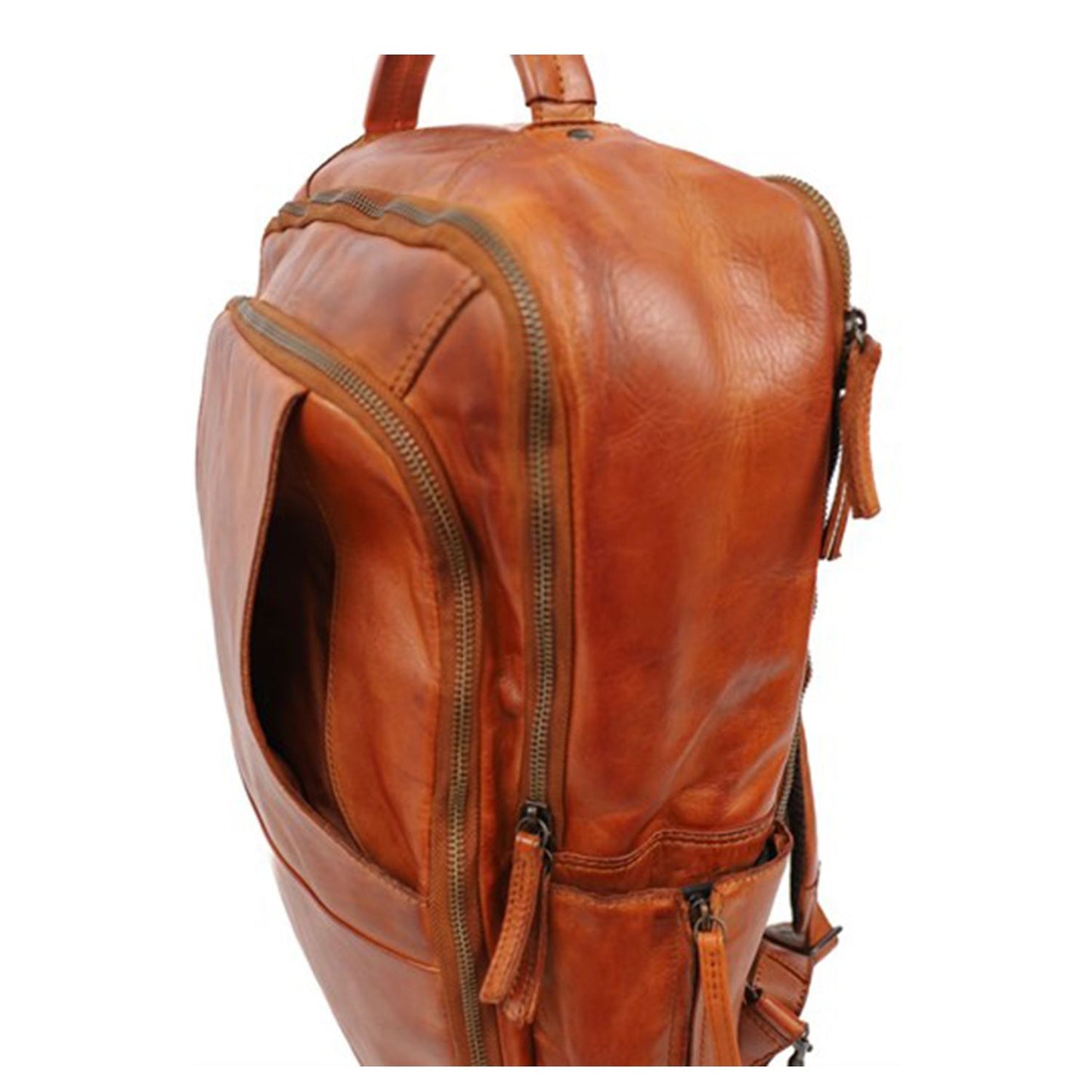 Bear Design Jayden Laptop Backpack L cognac