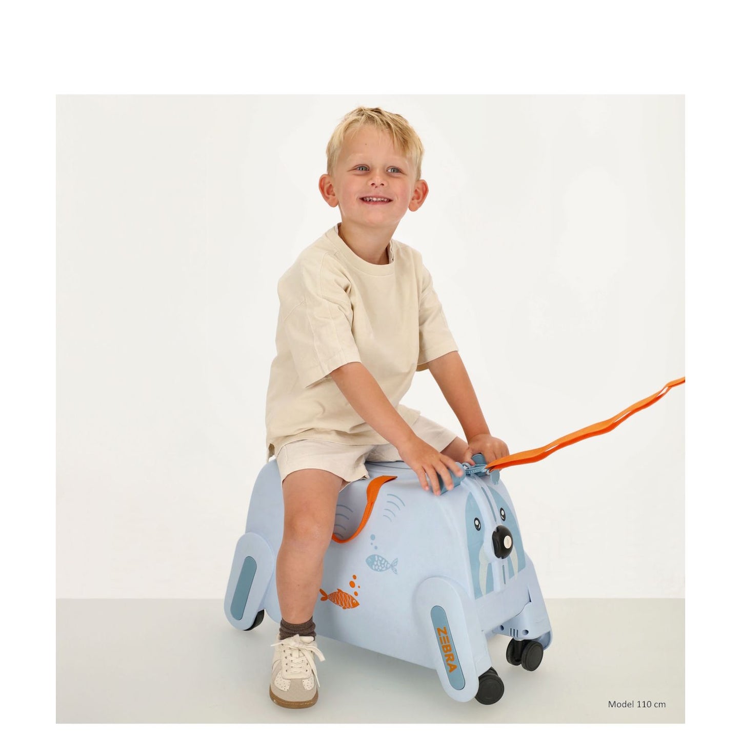 Zebra Trends Ranger Trolley light blue
