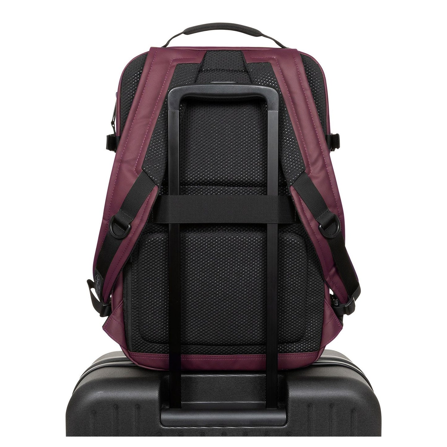 Eastpak Tecum M Rugzak School - 15" laptopvak - top fig